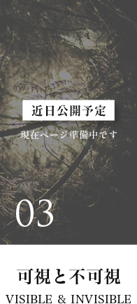 可視と不可視