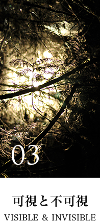 可視と不可視