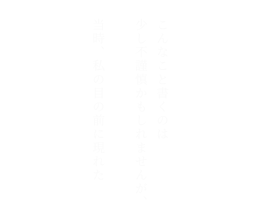 こんなこと書くのは少し不謹慎かもしれませんが、当時、私の目の前に現れた