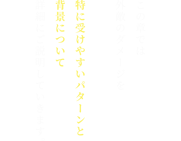 この章では
外敵のダメージを

特に受けやすいパターンと
背景について
詳細にご説明していきます。