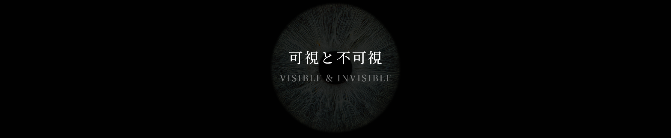 可視と不可視 / VISIBLE & INVISIBLE