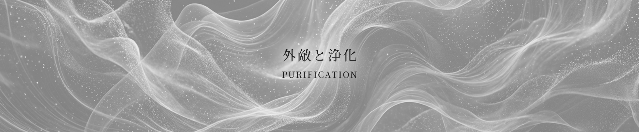 外敵と浄化 / PURIFICATION